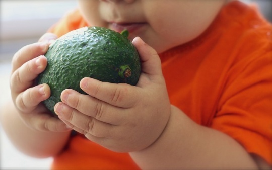 Scopri di più sull'articolo La Mente e il Corpo incontrano il Cibo